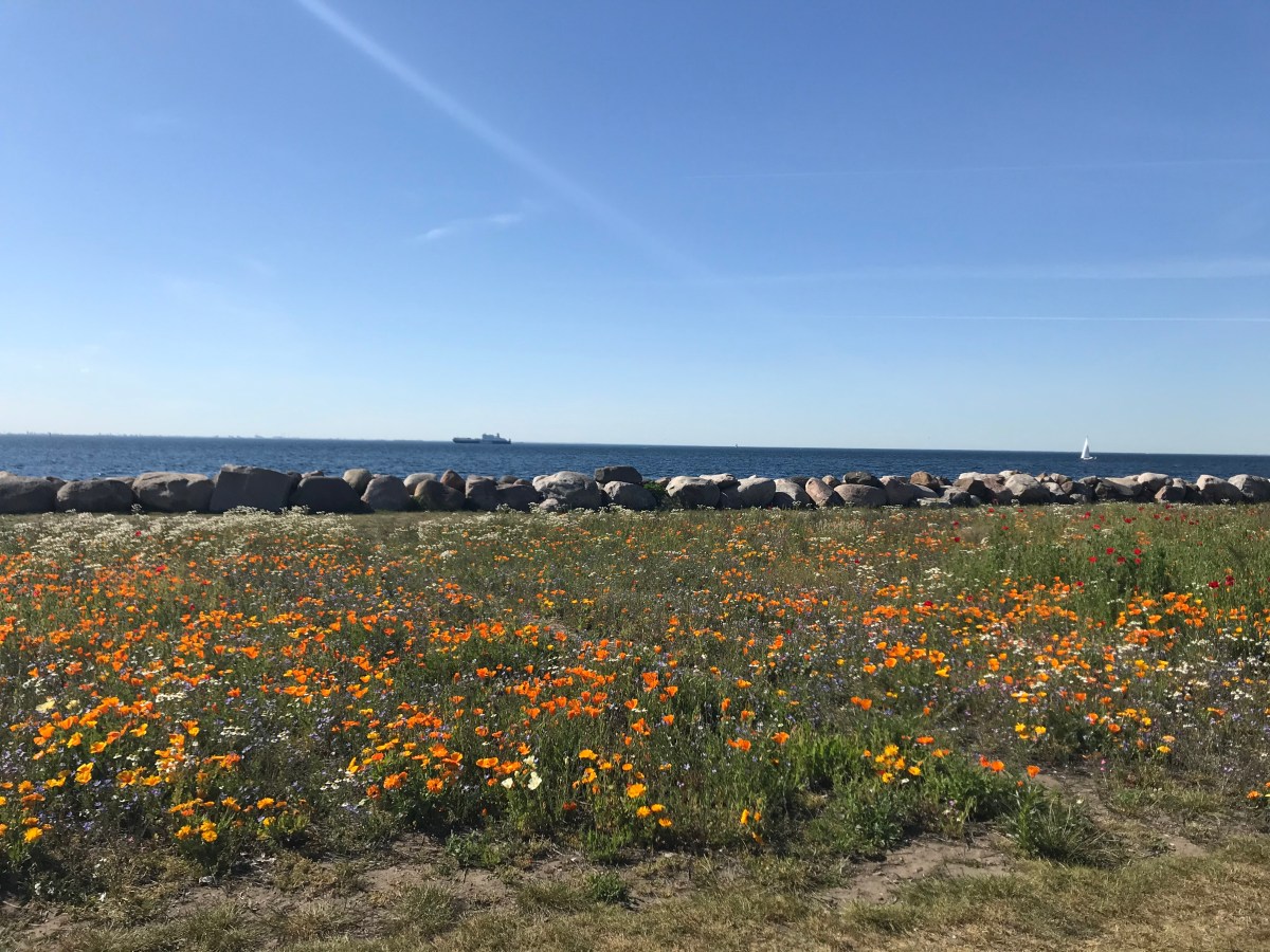 Vi är alla lika –&nbsp;eller?